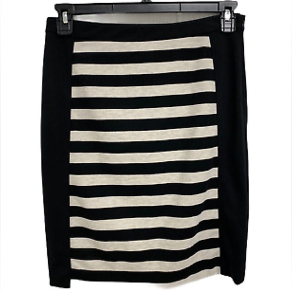 The Limited Dresses & Skirts - The Limited Striped Pencil Skirt Silver